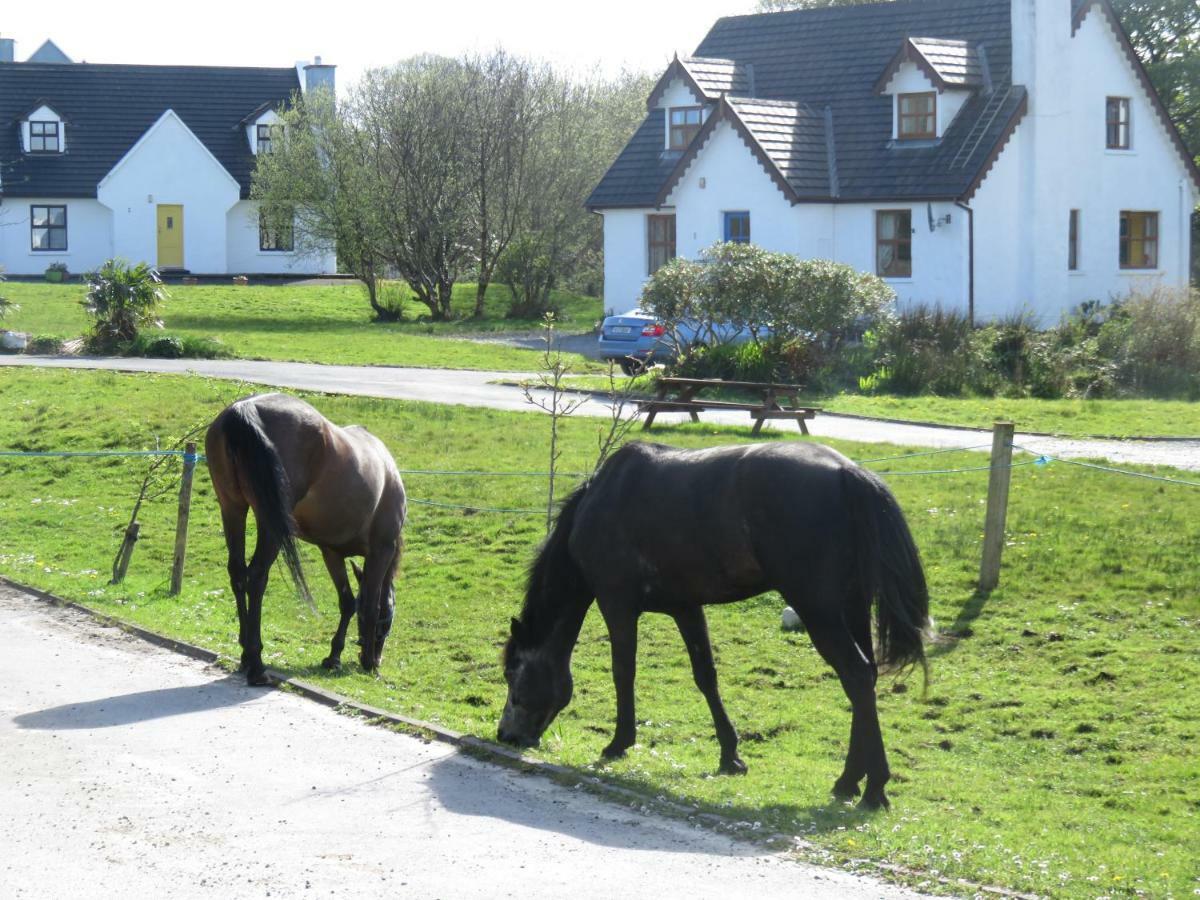 Letterfrack Farm Cottage In Village On A Farm Beside Connemara National Park Екстер'єр фото