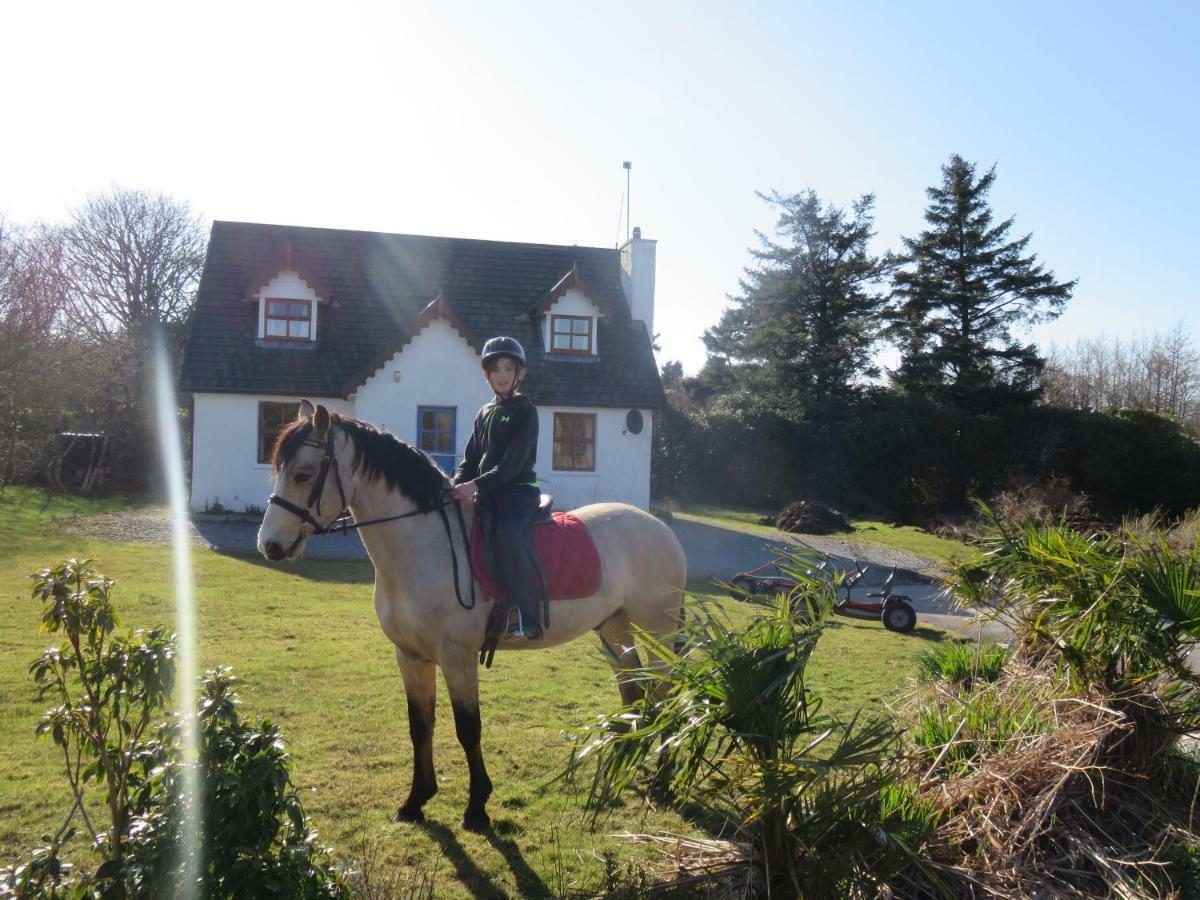 Letterfrack Farm Cottage In Village On A Farm Beside Connemara National Park Екстер'єр фото
